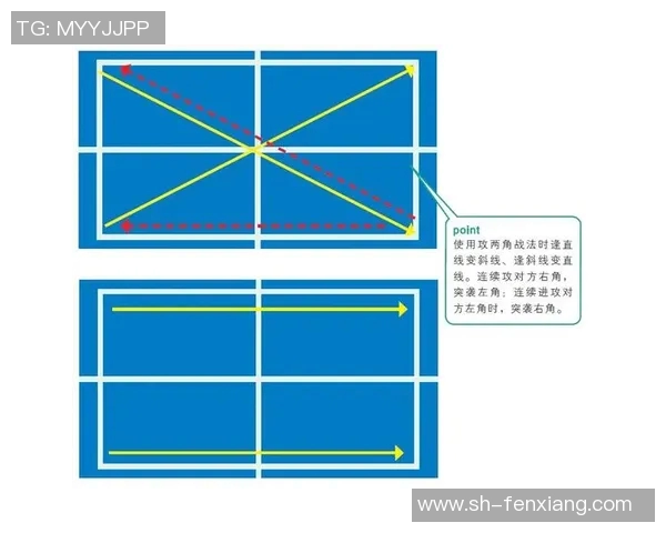 南京乒乓球队中路突破的战术分析与成败经验总结